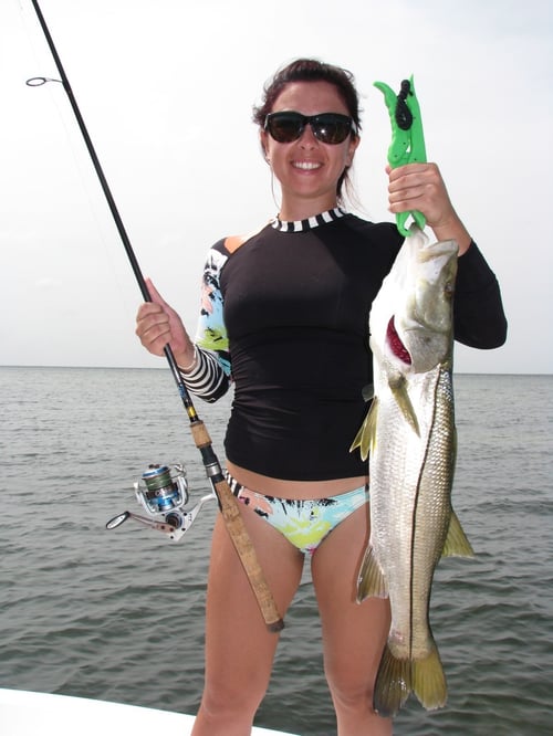Tampa Bay Inshore Fishing Fun!!!