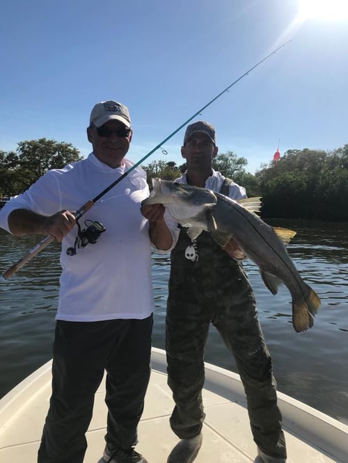 Half Day Tampa Bay Fishing