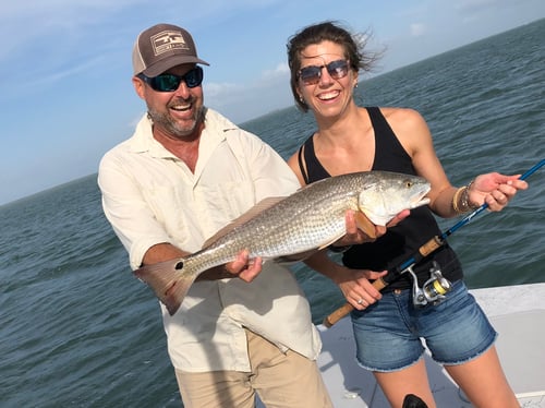 Redfish, Rockets & Speckled Trout & More!
