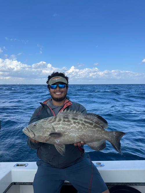 Fort Lauderdale Fishing Adventure