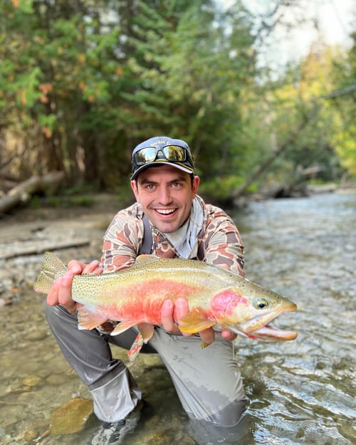 Where No Roads Can Take You