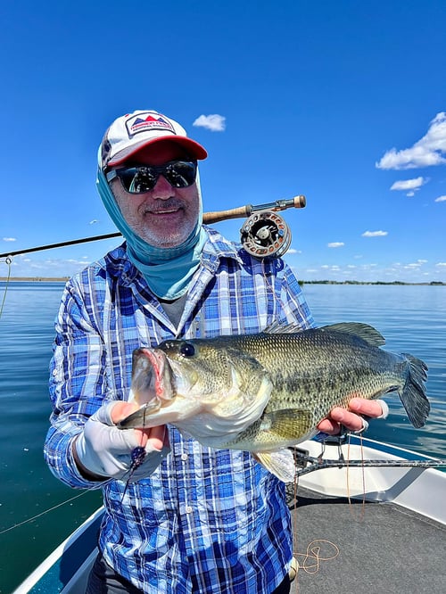 Fly Fishing for Bass