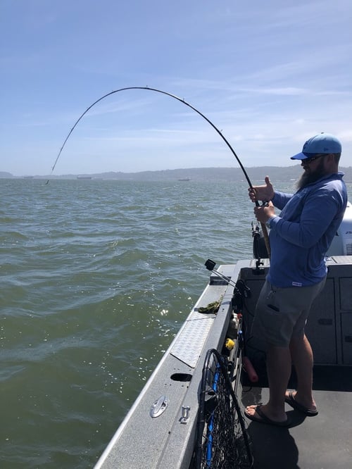 Bouy 10 Chinook & Coho