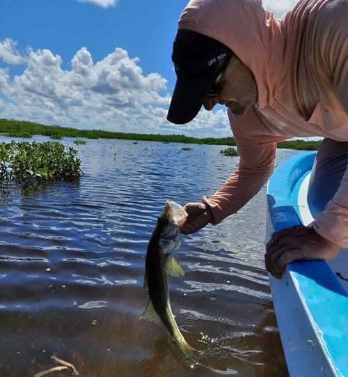 Cancun Fly Fishing & Spinning