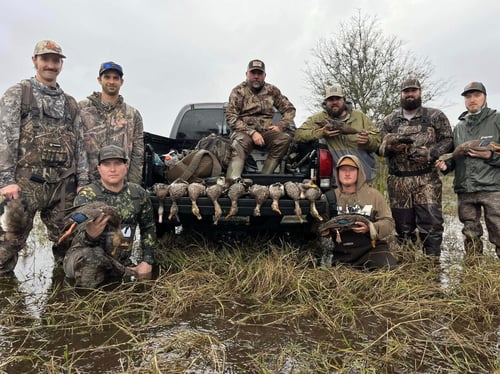Lake Okeechobee Duck Hunts