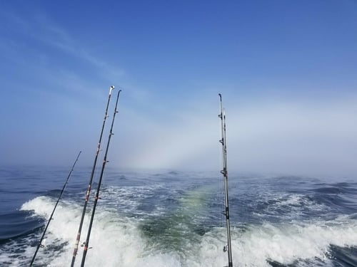 Jacksonville nearshore/ Offshore