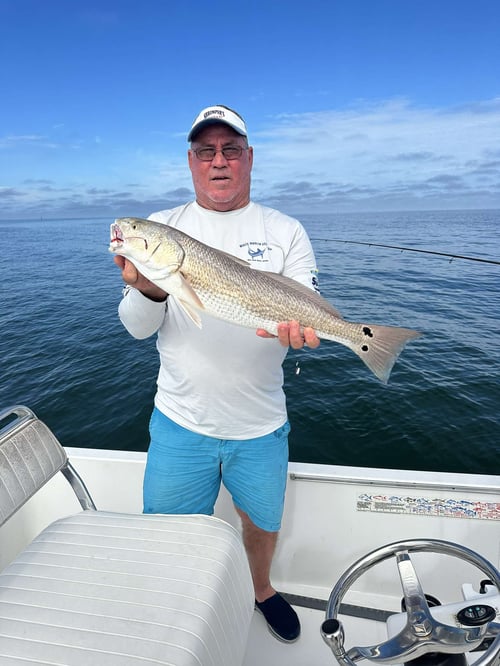 Inshore Fishing Trip