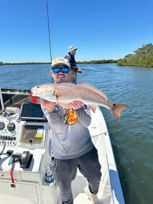 Redfish Fishing in Yankeetown, Florida