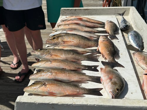 Marathon Reef-Wreck and Gulf