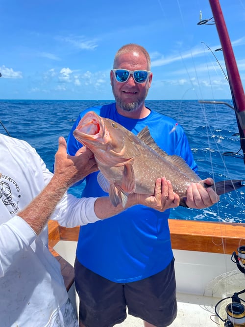 Marathon Reef-Wreck and Gulf
