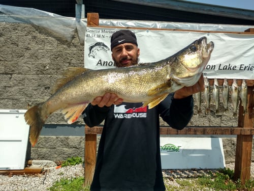 Walleye Trolling