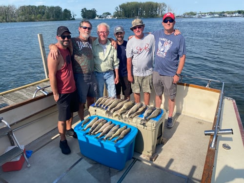 Full Walleye Charter – Lake Erie
