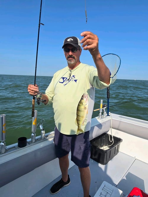 Full day 7 Hour Trip