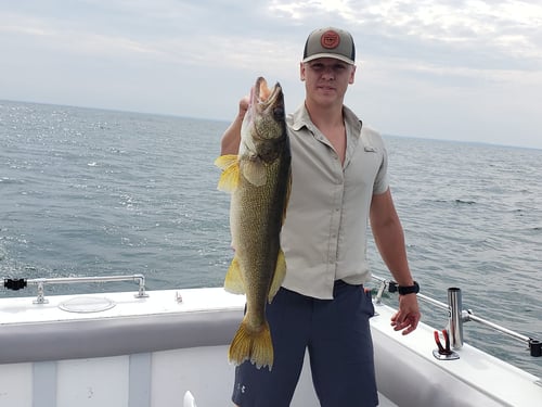 Full day 7 Hour Trip