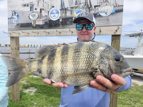 Jacksonville Inshore Fishing