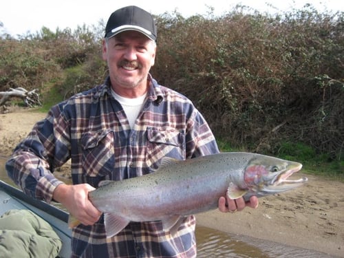 Winter Steelhead