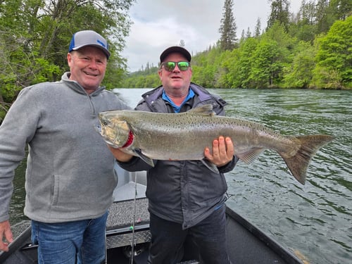 November Steelhead on the Rogue