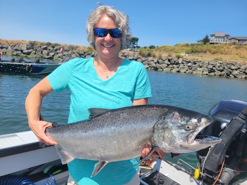 Summer Chinook Rogue Bay