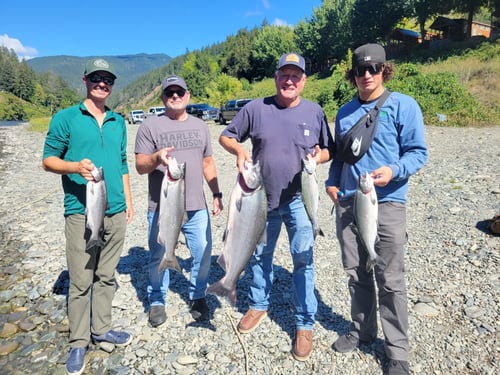 Fall Run Rogue River Chinook