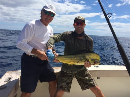 Lip Rippin' Extravaganza