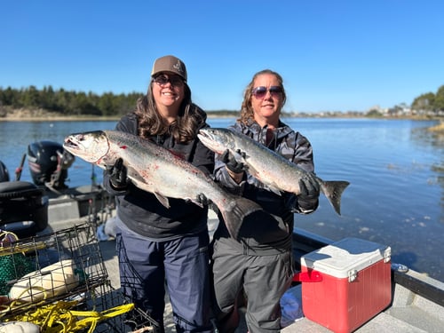 Winter steelhead