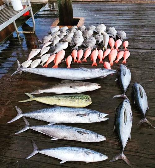 Wreck Fishing/bottom fishing
