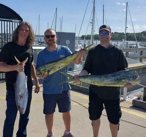 Mahi Mahi Fishing in Hilton Head Island, South Carolina