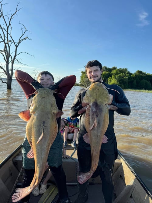 Arkansas Catfish Noodling