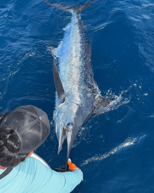 Best Damn Fishing In San Carlos