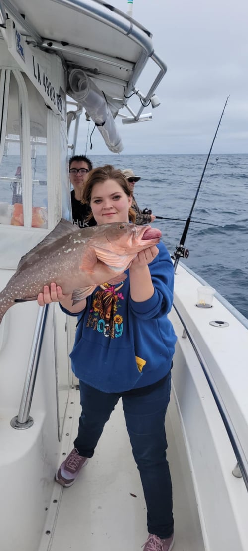 Grouper Trip!