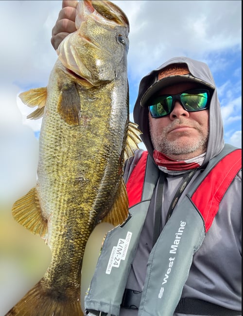 Everglades Bass & Exotics