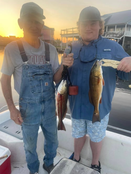 4-5 Hour Inshore Trip