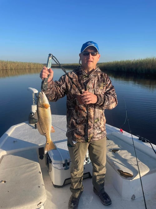 4-5 Hour Inshore Trip