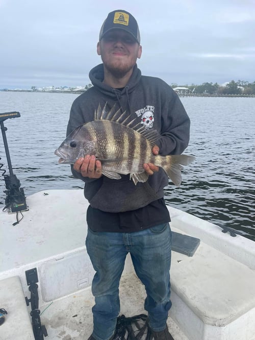 Sheepshead Chasing 3 Hour