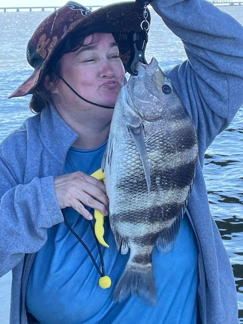 Sheepshead Chasing 3 Hour