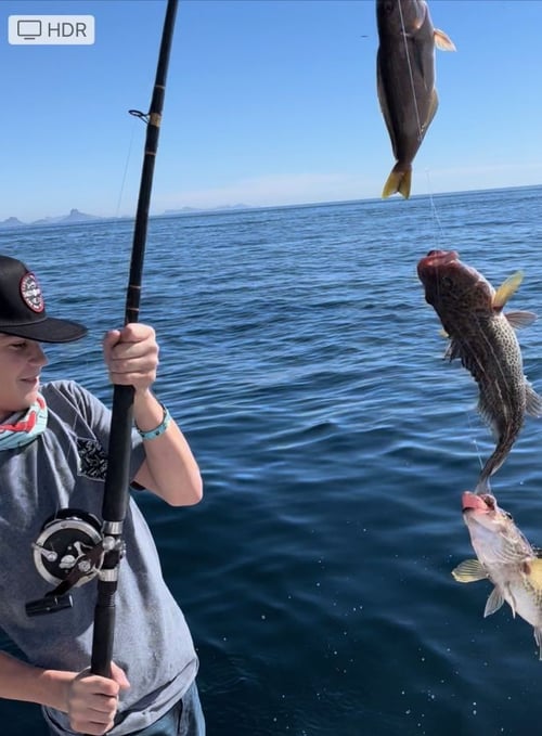 Bottom Fishing Extravaganza