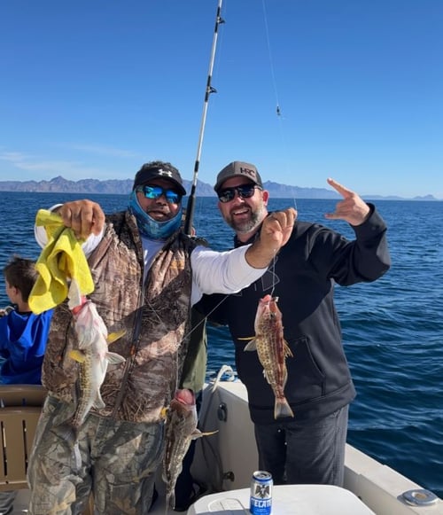 Bottom Fishing Extravaganza
