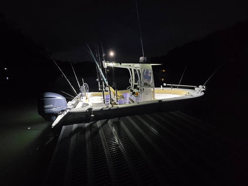 4-8 Hour Fishing Trip – Lake Lanier