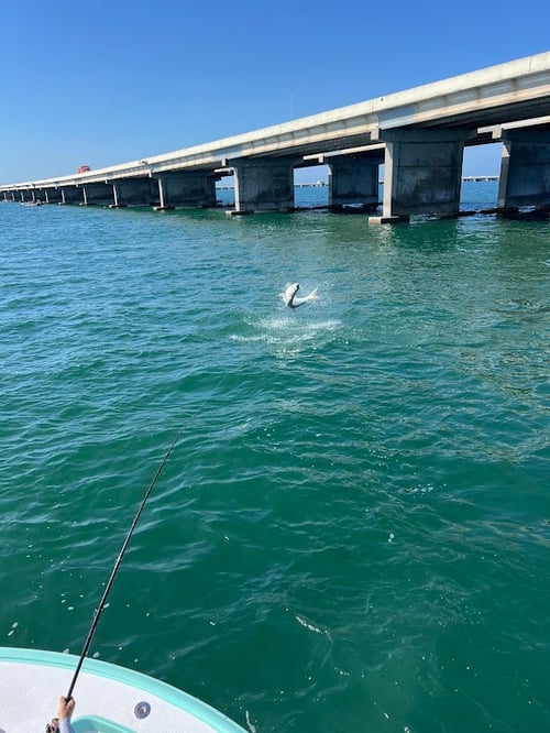 Tarpon Fishing Charter