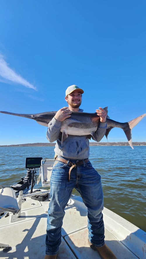 Spoonbill adventures