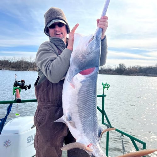 Spoonbill adventures