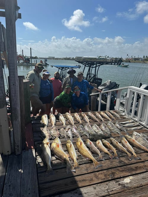 Inshore Fishing Trip