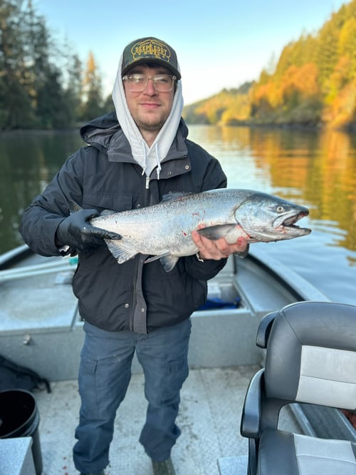 Fall & Spring Chinook Salmon