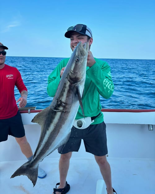 Deep Sea Fishing Adventures