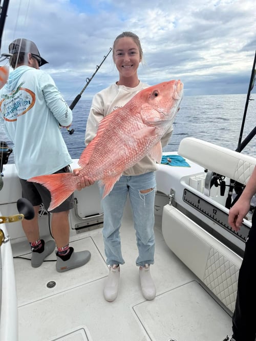 Red Grouper, Snapper, Pompano