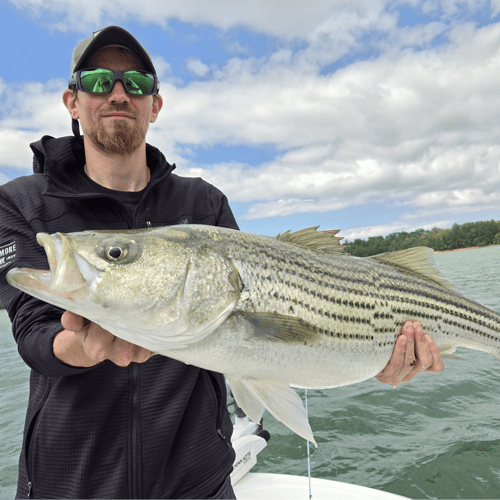 Full Day On Lake Lanier