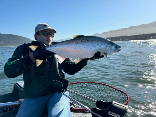 Southern Oregon salmon trolling