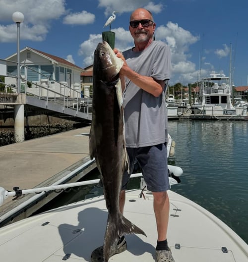 Half Day or Full Day Trip - Nearshore