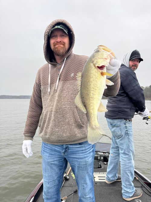 Full Day Bass Fishing