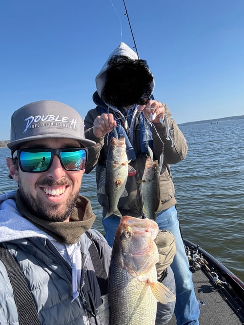 Full Day Bass Fishing